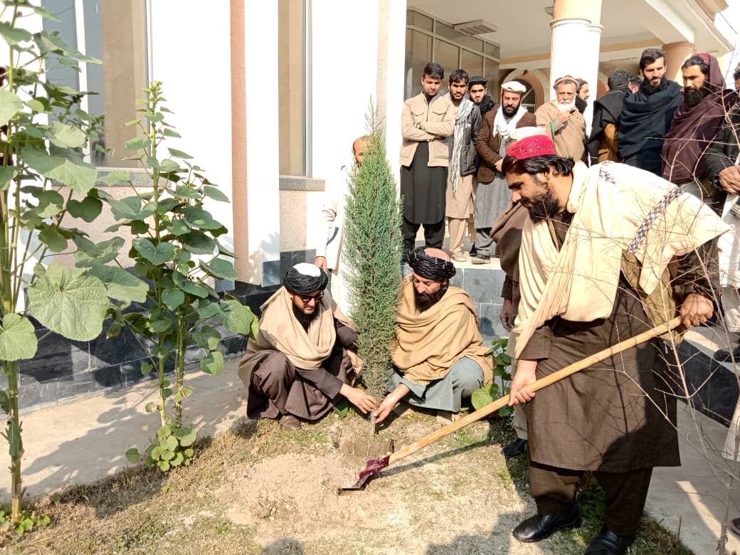 ننګرهار کې یو نیالګی دځان اوبل دافغانستان لپاره ترعنوان لاندې دنیالګیو کېنولو کمپاین پیل شو