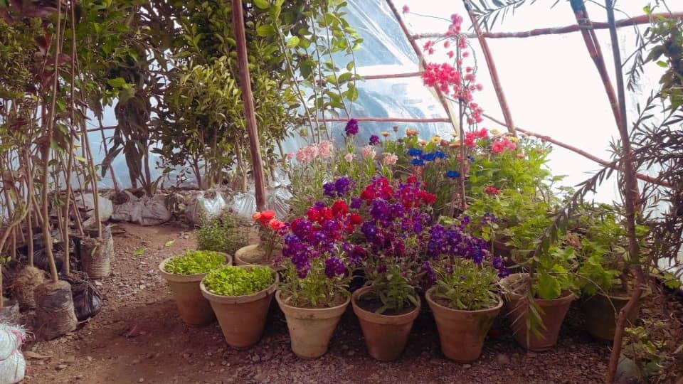 روزګان کې د نیالګیو پلورنځیو مسوولینو ته عامه پوهای ورکړل شو