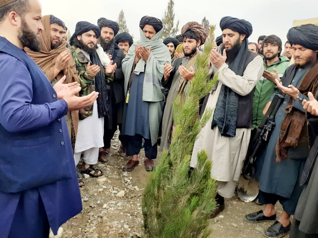کمپاین ملی نهال شانی در ولایت بغلان آغاز شد