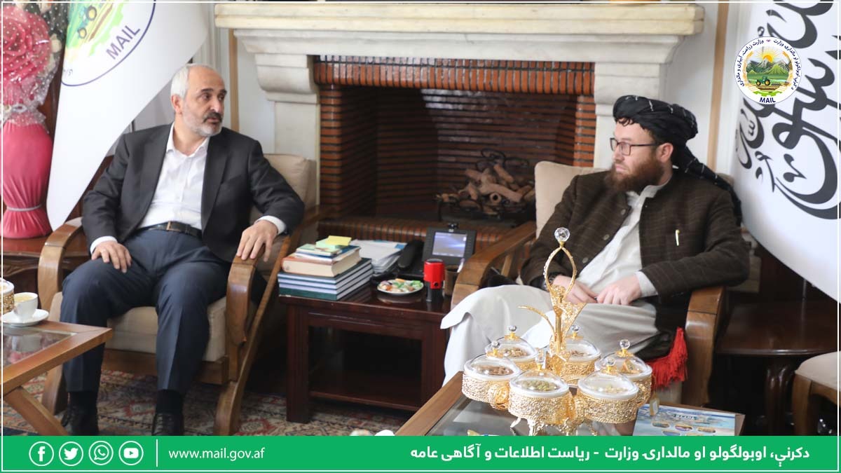 دیدار وزیر زراعت با رئیس بنیاد معارف ترکیه
