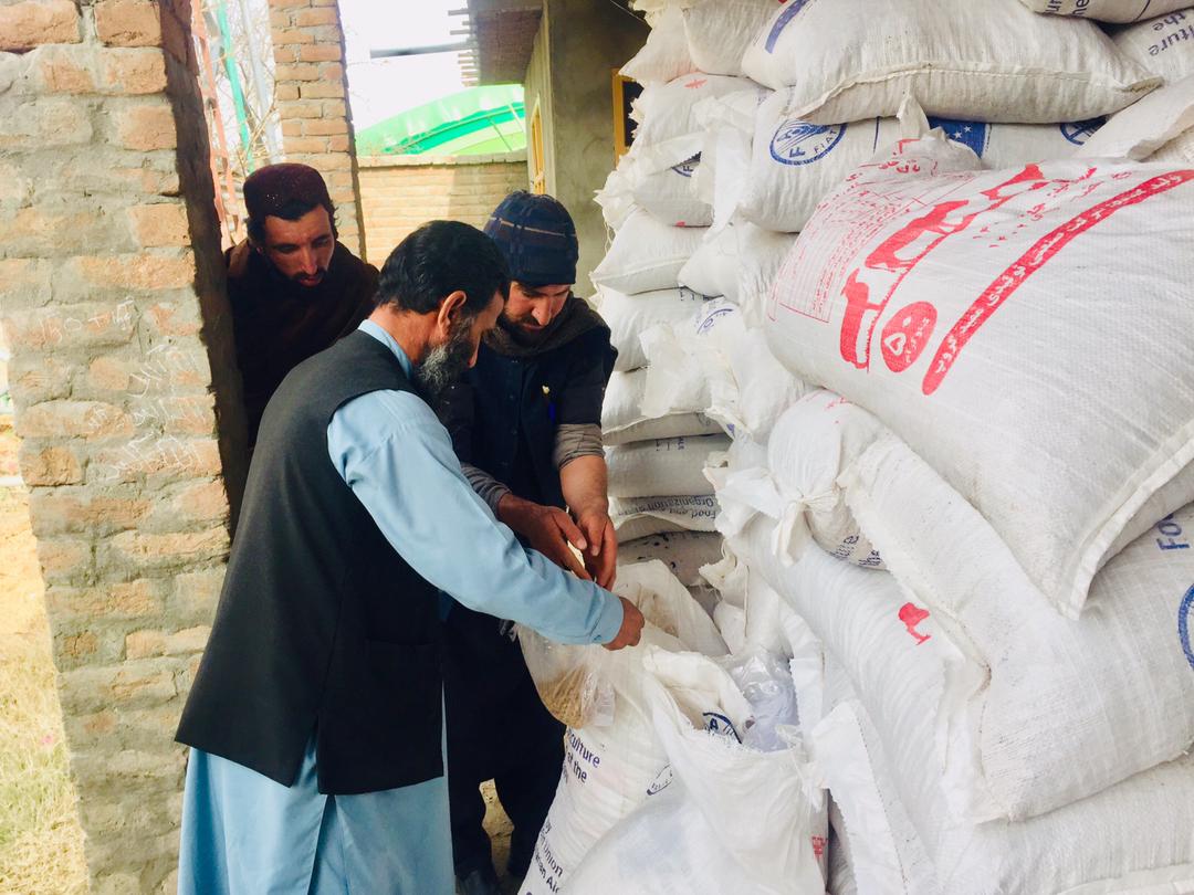 د ننګرهار شپږو ولسوالیو کې پر مالدارانو د څارویو خوراکي توکي وېشل کېږي