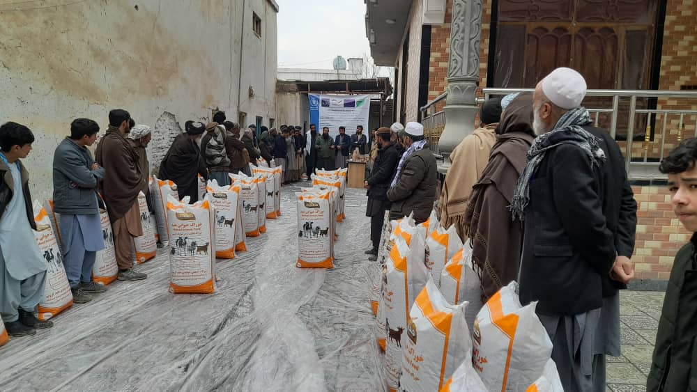 توزیع بستههای خوراک حیوانی برای ۵۰ تن از مالداران ولایت بغلان