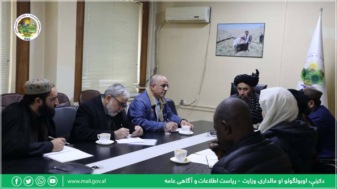 معین زراعت و مالداری با مسوولان جندر UNAMA دیدار کرد