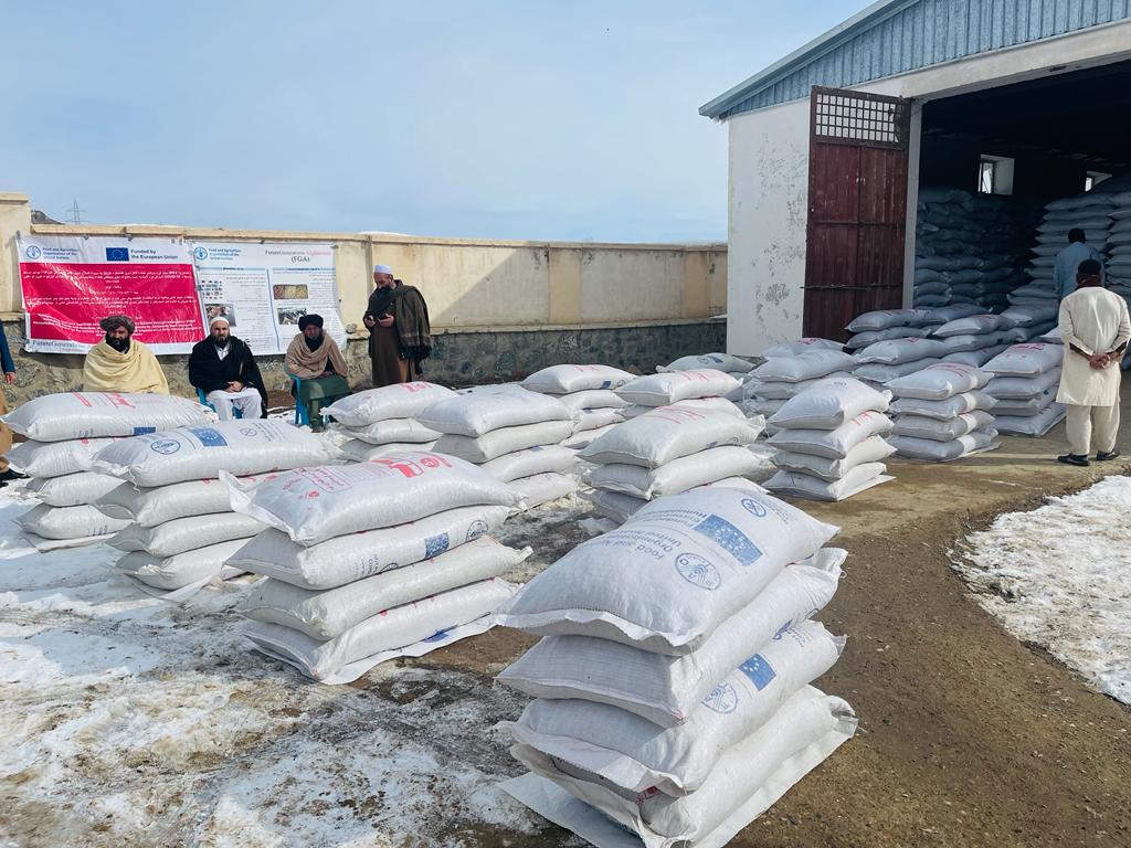 لوګر کې په ۱۶۰۰ مالدارانو د څارویو خوراکي توکي ووېشل شول