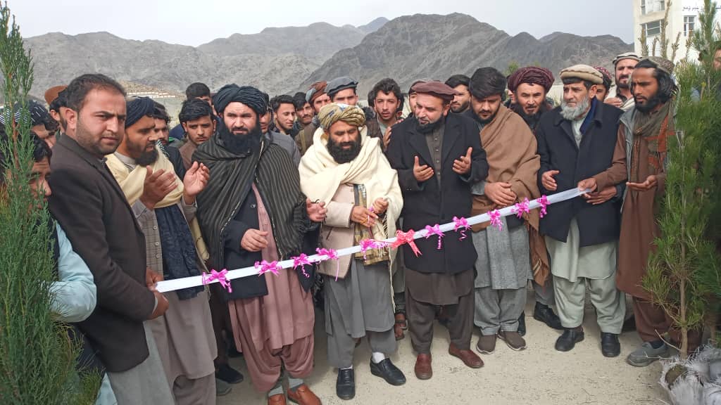 لغمان کې د نیالګیو کېنولو کمپاین پیل شو