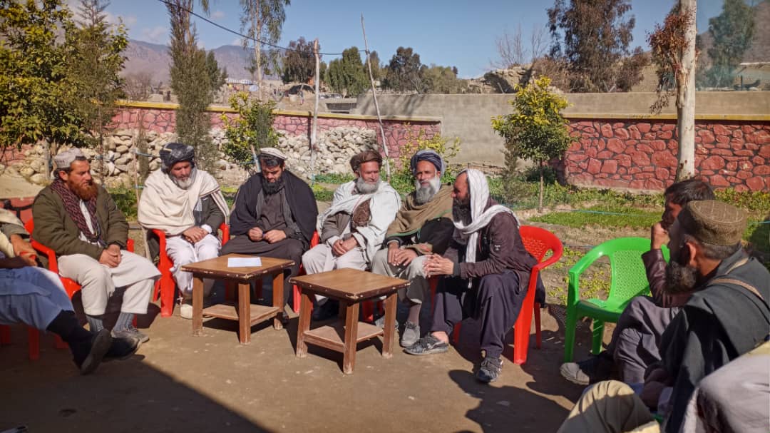 لغمان کې د ځنګلونو د پرېکېدو مخنیوي په پار هڅې