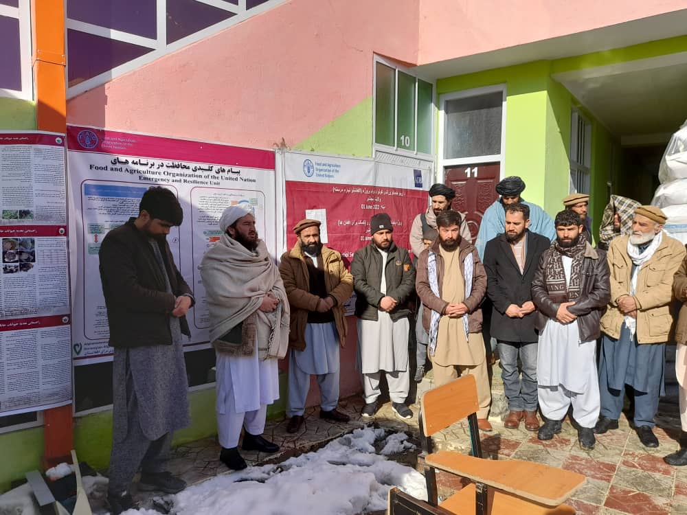 برای چهار هزار و 411 مالدار در ولایت پنچشیر خوراکه حیوانی توزیع میشود