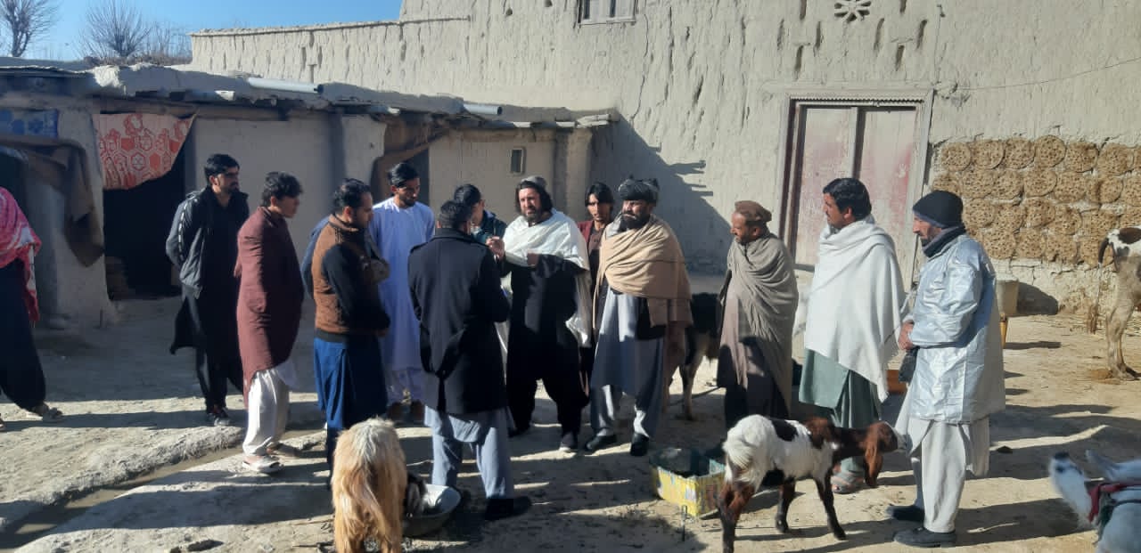 خوست کې یوشمېر مالداران وروزل شول