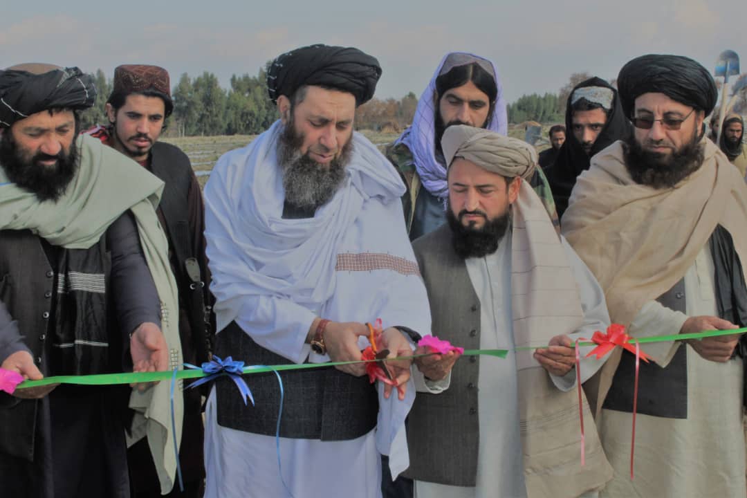 د ننګرهار کانال ریاست: د څلورم فارم لومړی بلاک کې د مالټې ۱۲۰ جریبه بڼونه جوړېږي