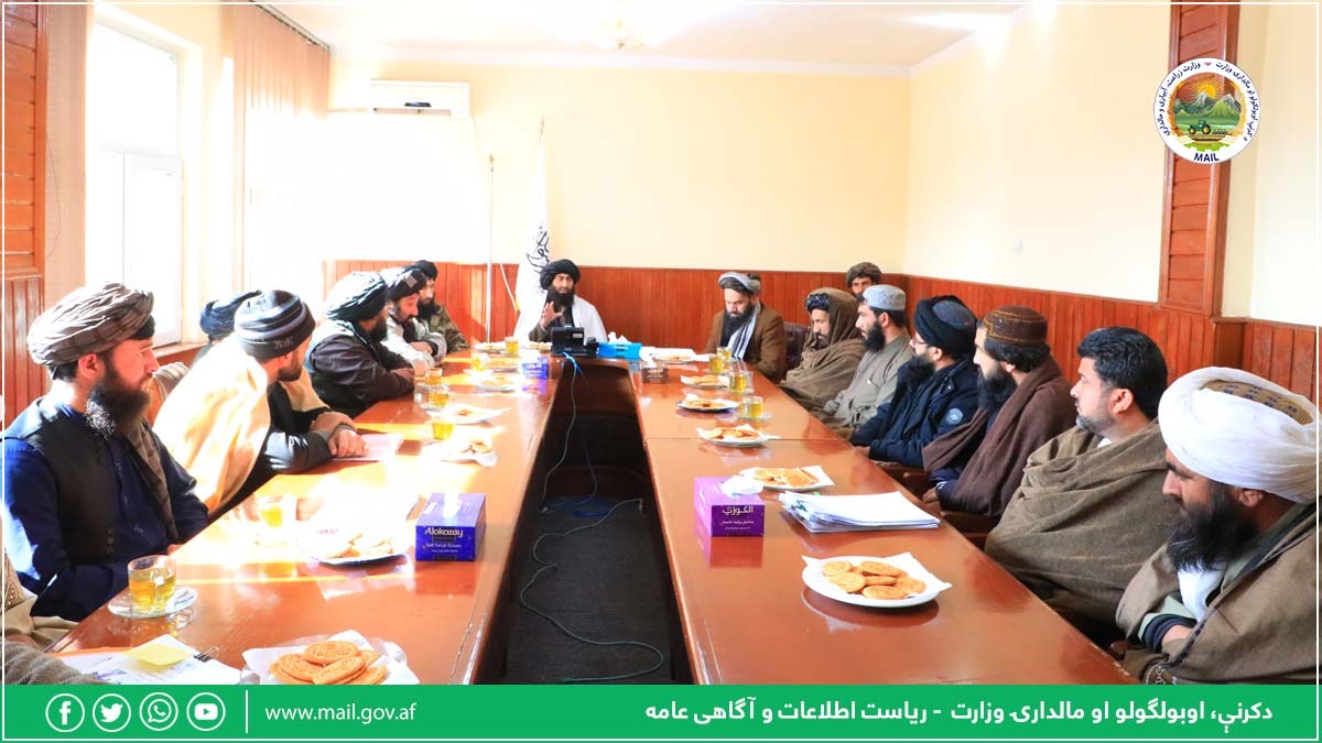 مشاور تدارکاتی و مالی معین مالی و اداری وزارت زراعت معرفی شد