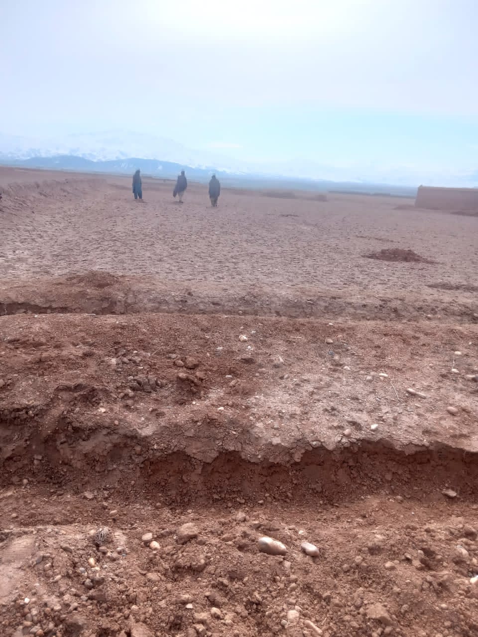 پروان کې د ځمکې د غصب مخنیوی او غصب شویو ځمکو د بېرته را ګرځولو کمېټې هلې ځلې