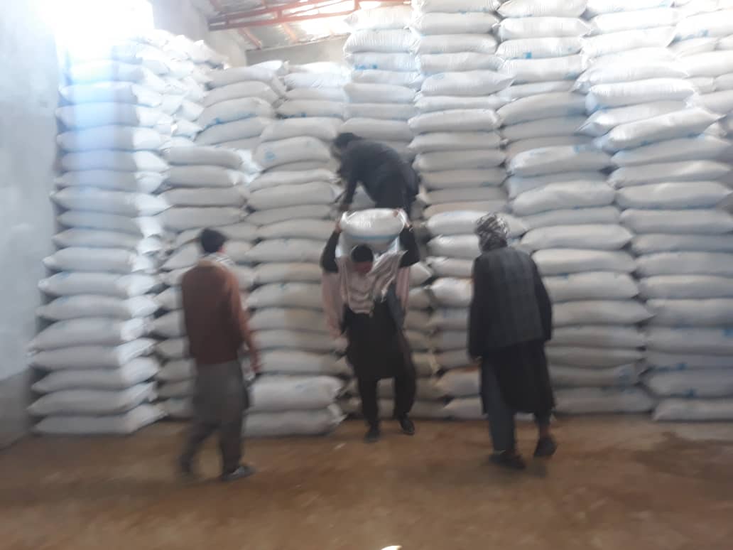 برای۹۰۰ مالدار در بلخ مواد خوراکه حیوانی توزیع شد