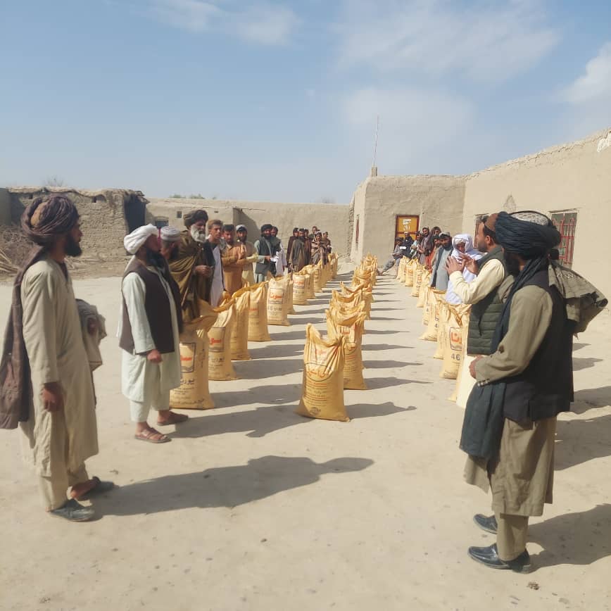 د هلمند ناوې ولسوالی کې پر ۵۰ بزګرانو کیمیاوي سرې ووېشل شوې