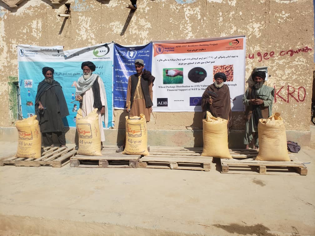 اروزګان کې پر یوشمېر بزګرانو کیمیاوي سرې ووېشل شوې