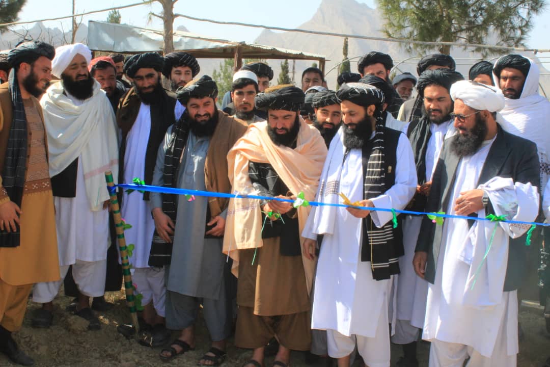 کندهار کې د نیالګیو اېښودلو کمپاین پیل شو