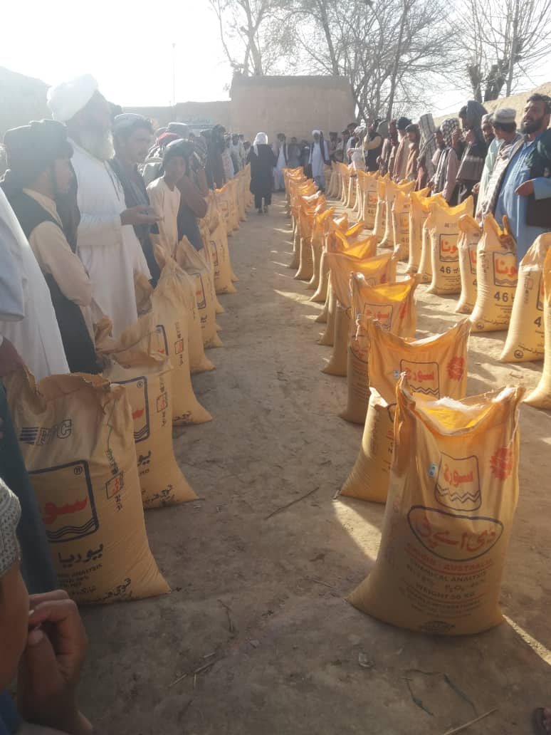 د هلمند مارجې ولسوالی کې پر ۵۰ بزګرانو کیمیاوي سرې ووېشل شوې