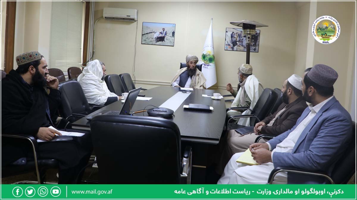 د کرنې او مالدارۍ مرستیال د افغانستان لپاره د اړتیاوړ چوپړتیاوو او د معیشت ثبات پروګرام له چارواکو سره وکتل