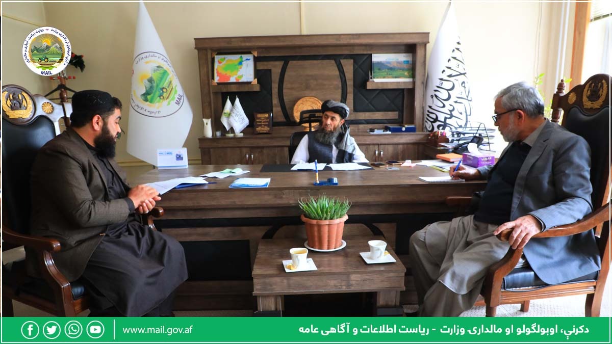 د هېواد شمالي ولایتونو کې د ملخانو آفت د مخنیوي په پار هلې ځلې