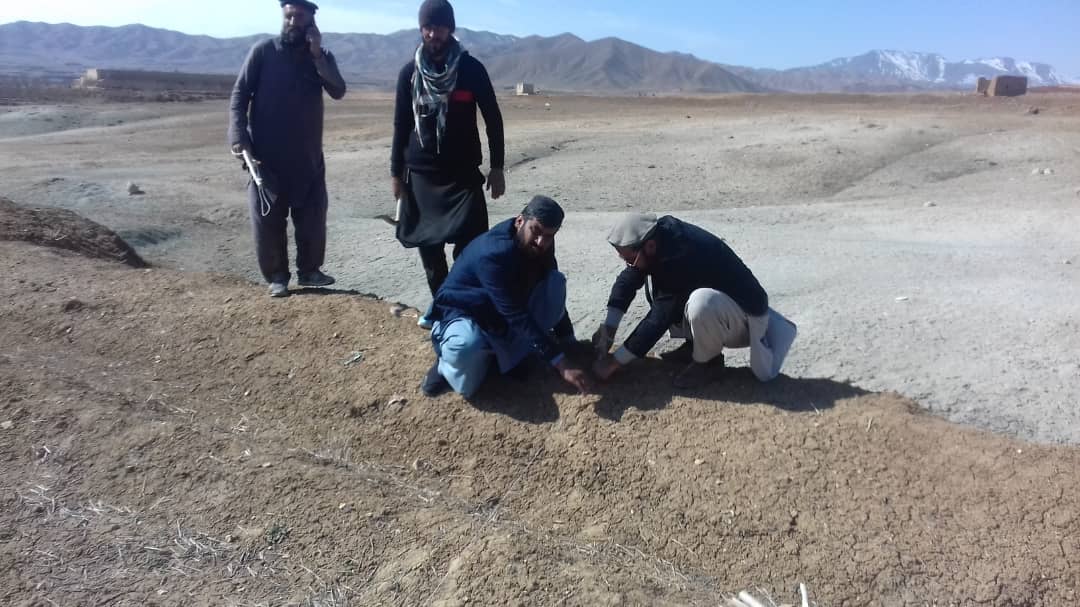 د لوګر محمدآغې ولسوالی کې د بڼوالو روزنیز پروګرام پیل شو