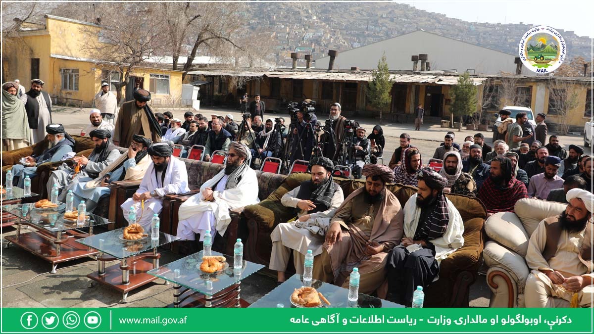 دکرنې وزارت له خوا پر ۴۹ زره او ۸۰۰ بېوزلو کورنيو د دال نخودو د وېش لړۍ پيل شو