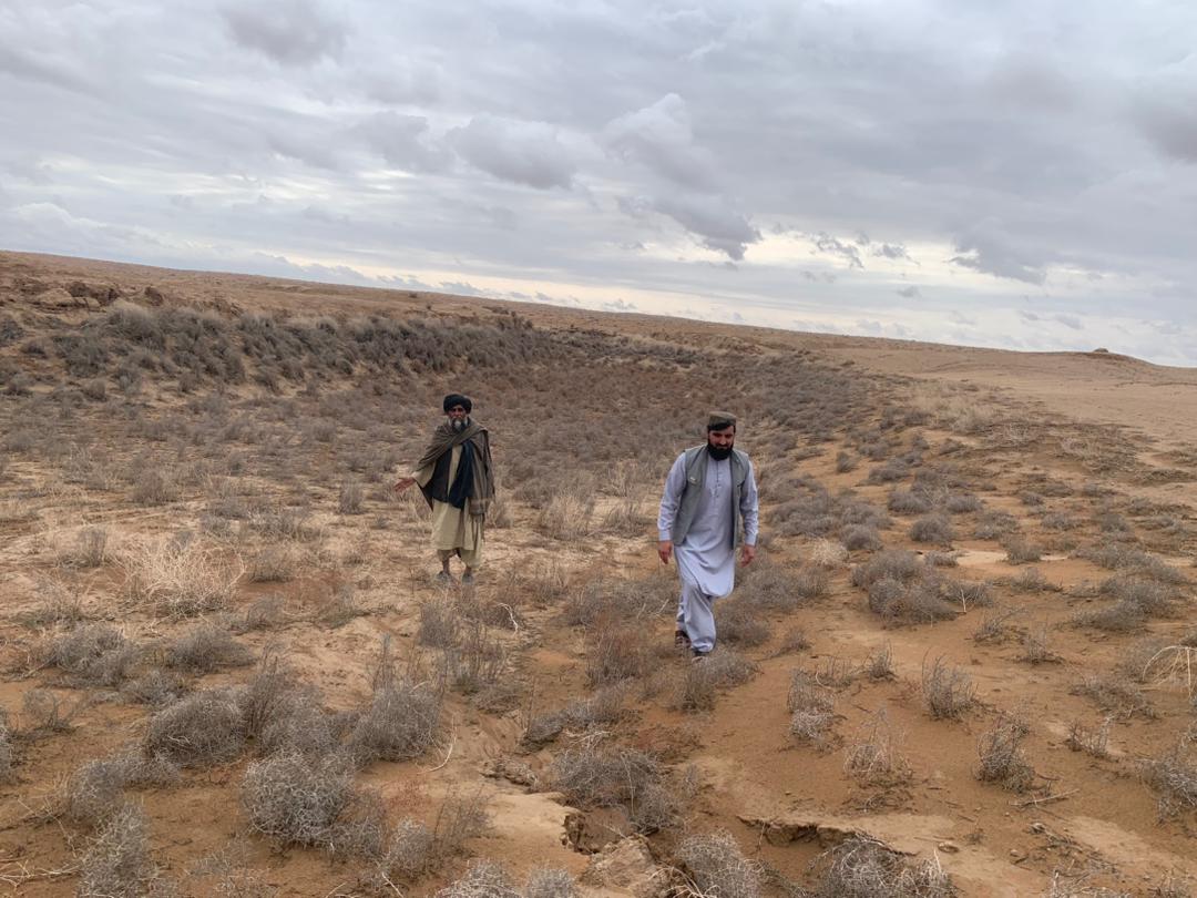 هلمند کې د باراني اوبو مهارولو په موخه د ګڼو ناورونو د سروې چارې پیل شوې