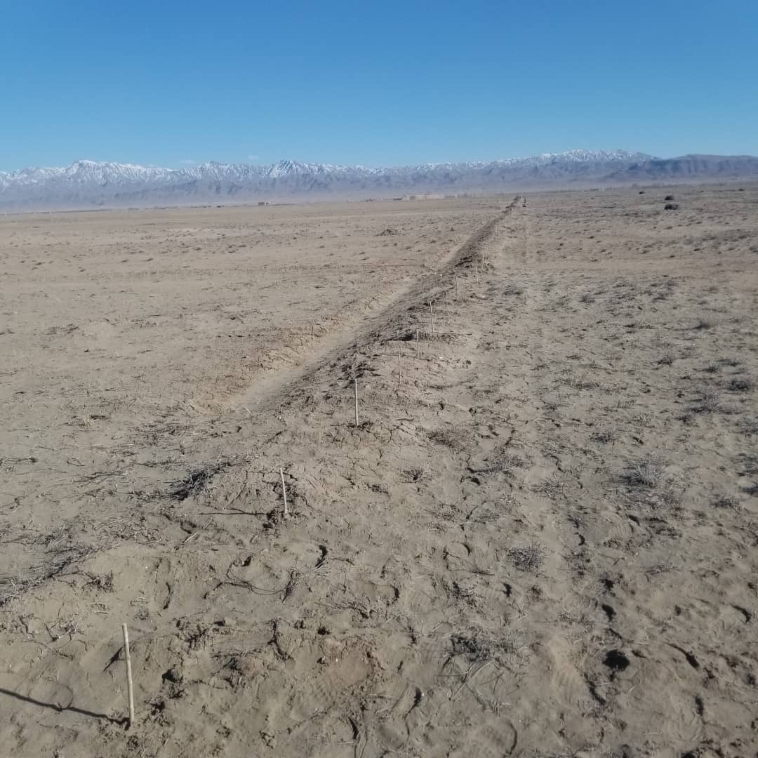 د پکتیکا جاني خېل او مټاخان ولسوالیو کې د امارتي ځمکو د غصب مخه ونیول شوه