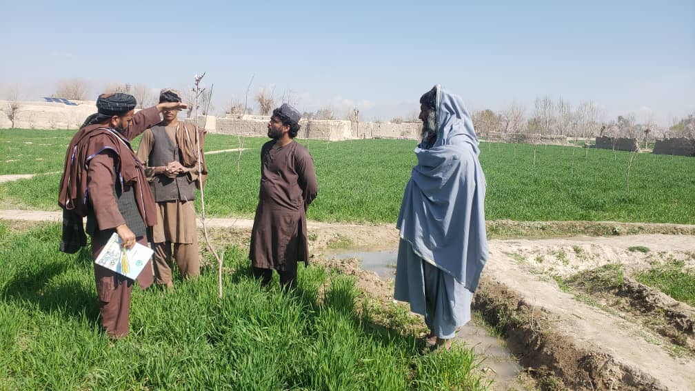 اروزګان کې یوشمېر بزګران وروزل شول