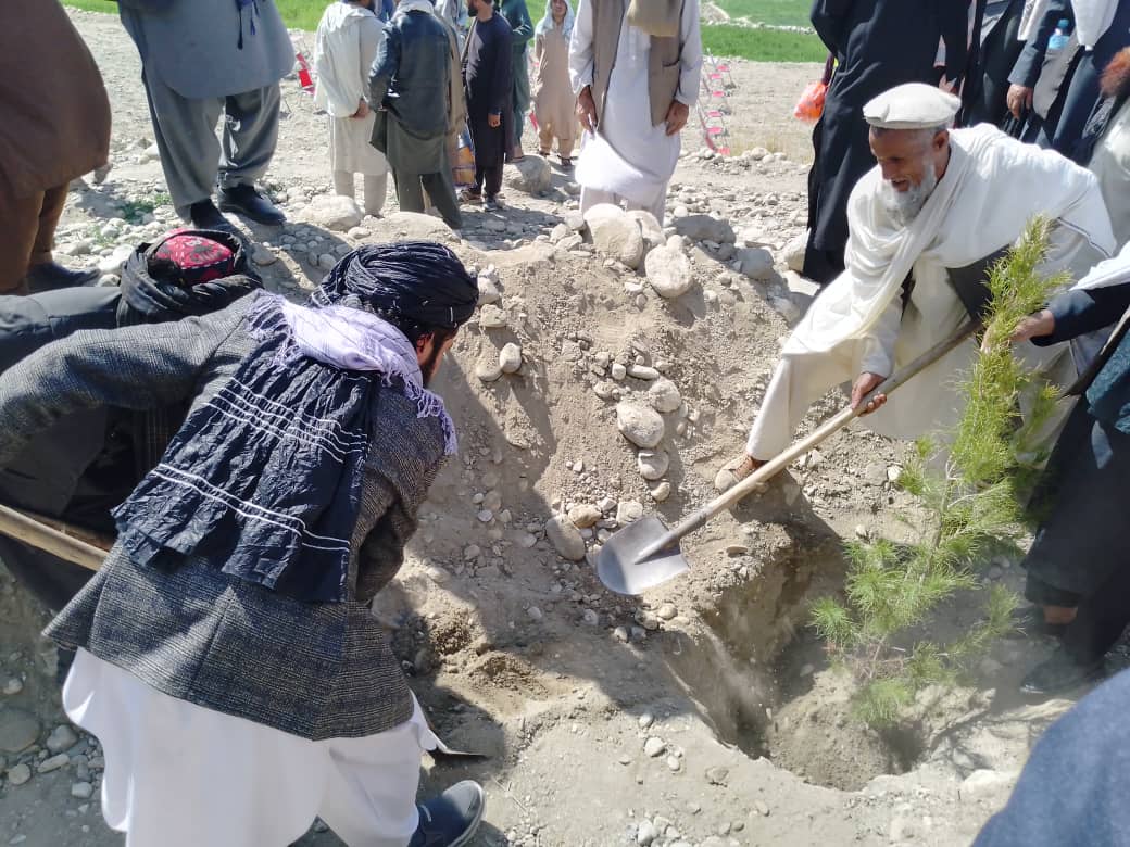 دکابل سروبي ولسوالی کې د نیالګیو اېښودلو کمپاین پیل شو