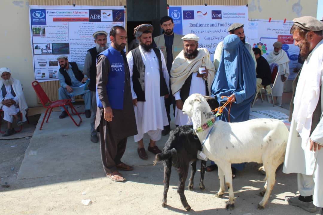 لغمان کې د بېوزله مېرمنو لاس نیوی: پر ۲۰۰ بېوزله مېرمنو څاروي ووېشل شول