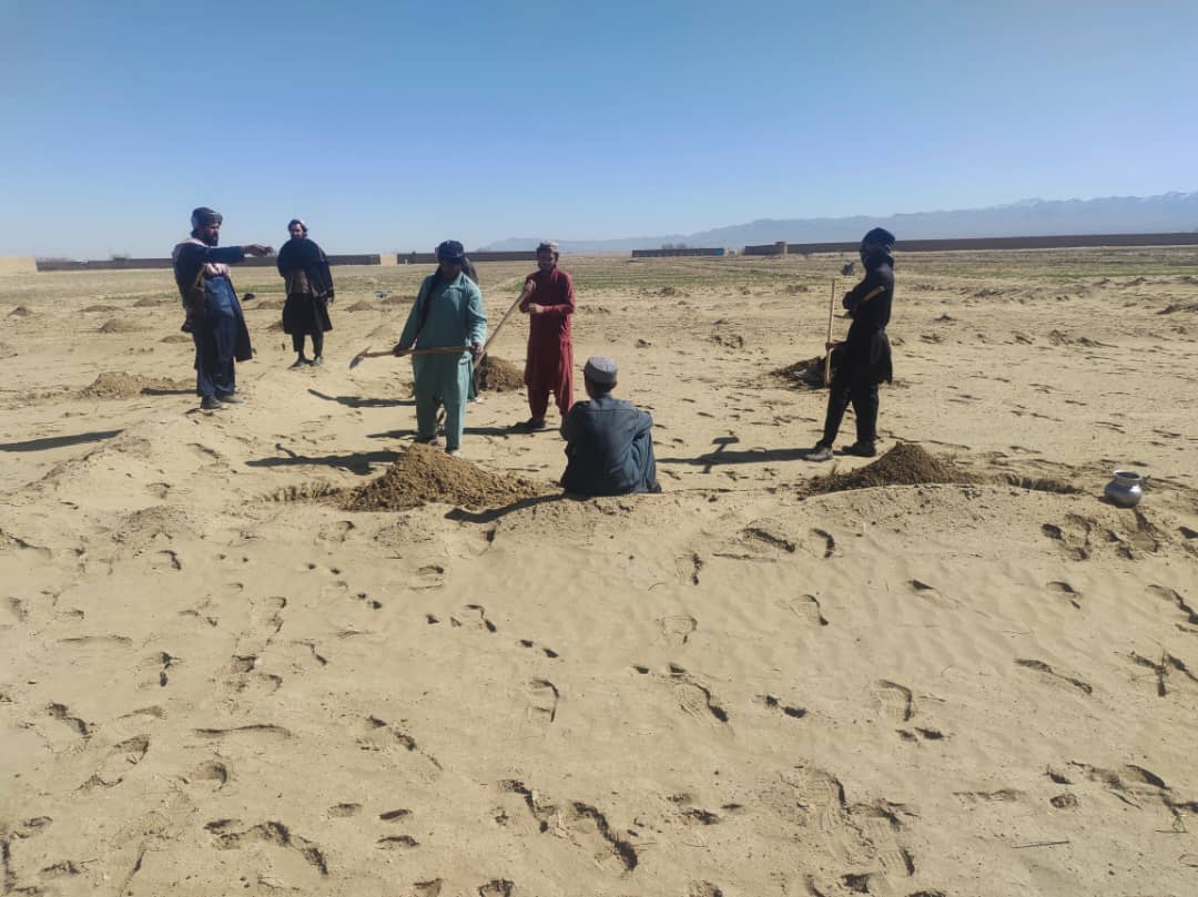 د پکتیکا څلورو ولسوالیو کې د امارتي ځمکو د غصب مخه ونیول شوه