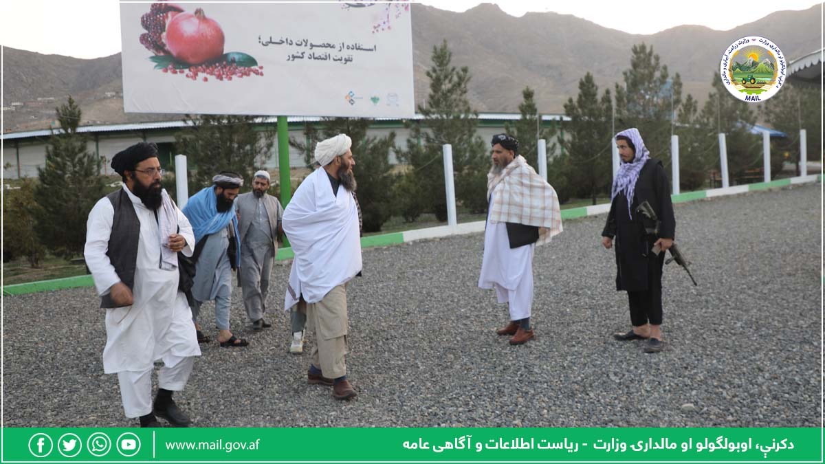 آمادهگی ها برای برگزاری نمایشگاه بررسی گردید