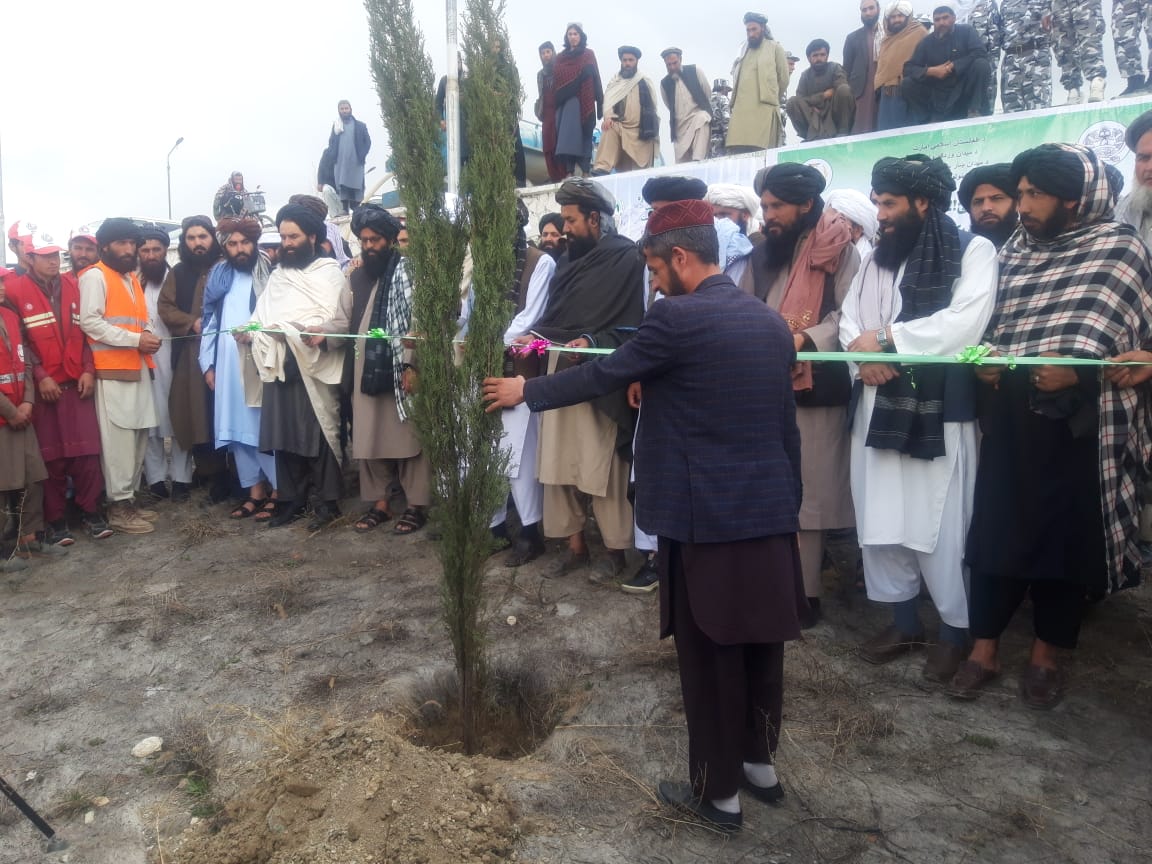 میدان وردګو ولایت کې د بریا او پرمختګ نیالګی تر عنوان لاندې د نیالګیو اېښودلو کمپاین پیل شو