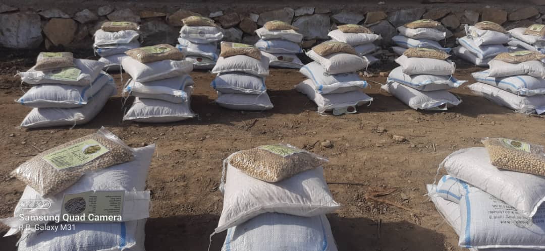 میدان وردګو ولایت کې پر یوشمېر بزګرانو د حبوباتو تخمونه ووېشل شول