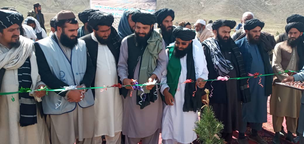 لوګر کې د زرغون او پرمختللی هېواد تر عنوان لاندې د نیالګیو اېښودلو کمپاین پیل شو