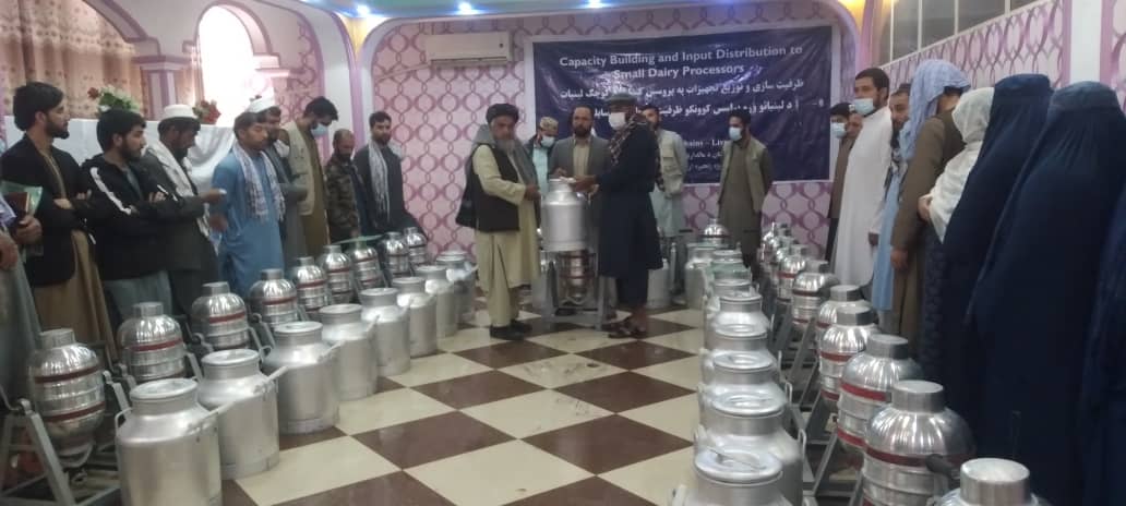 کندز کې د لبنیاتو یوشمېر تولیدوونکي او پروسس کوونکي وروزل شول