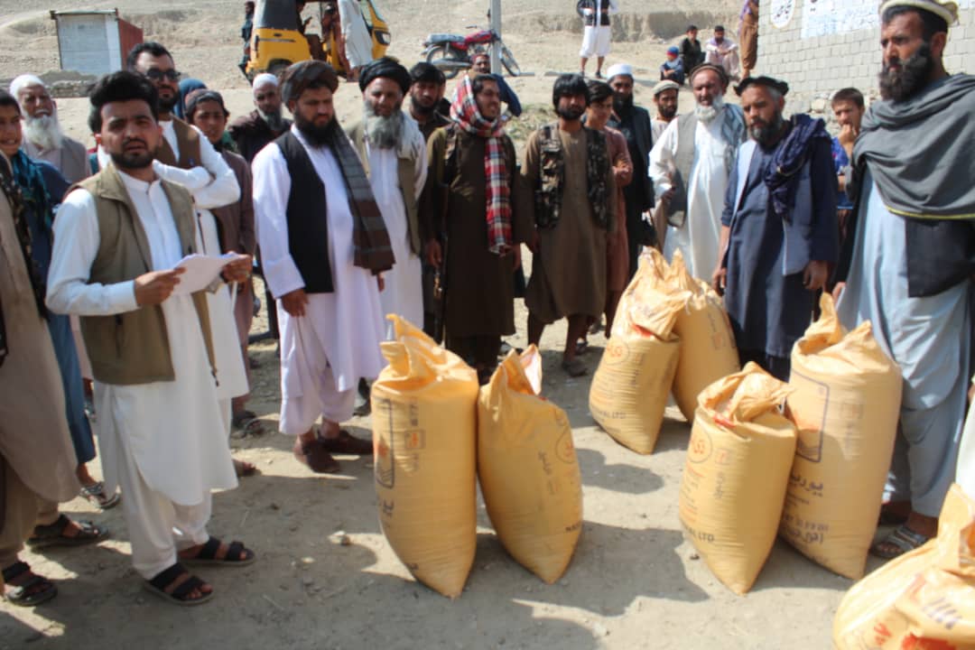 لغمان کې پر یوشمېر بزګرانو د کیمیاوي سرو وېش لړۍ پیل شو