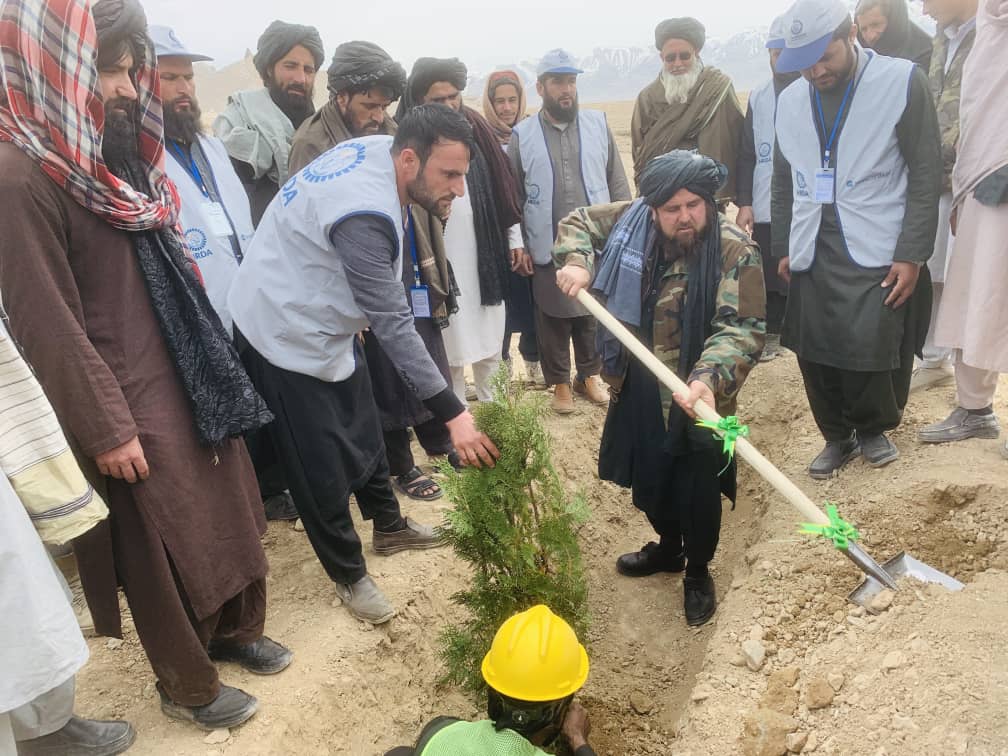 د لوګر دکرنې رییاست: خروار ولسوالی کې څلور زره نیالګي اېښودل کېږي
