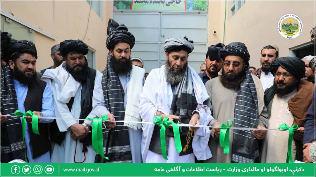 معین زراعت و مالداری یک کمپلکس ادویه جات را افتتاح کرد