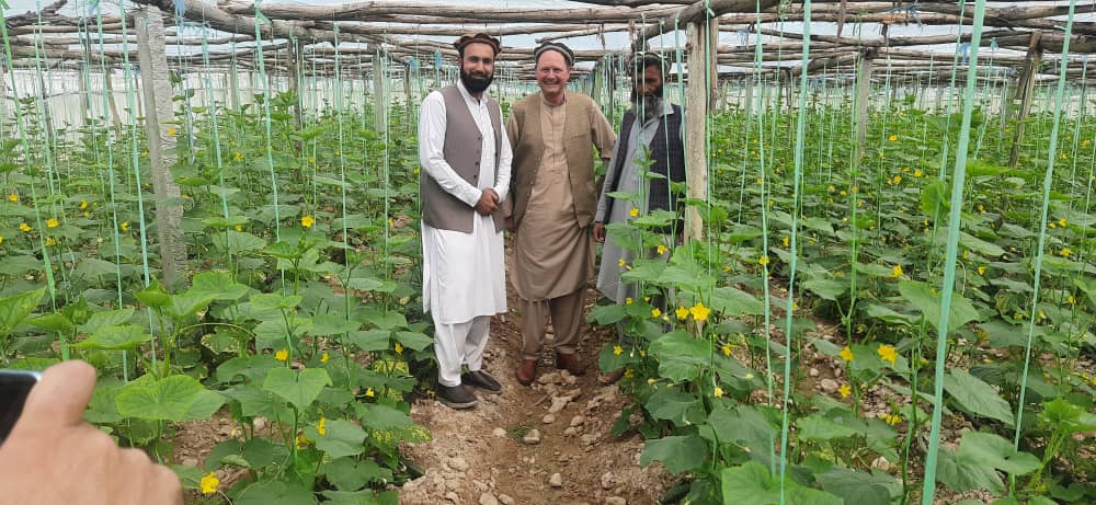 د لغمان دکرنې رييس د سولې بنياد مؤسسې چارواکو سره وکتل