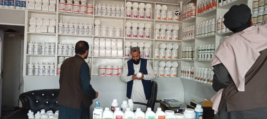 جلال آباد ښار کې د څارويو درمل پلورنځيوڅارنه وشوه