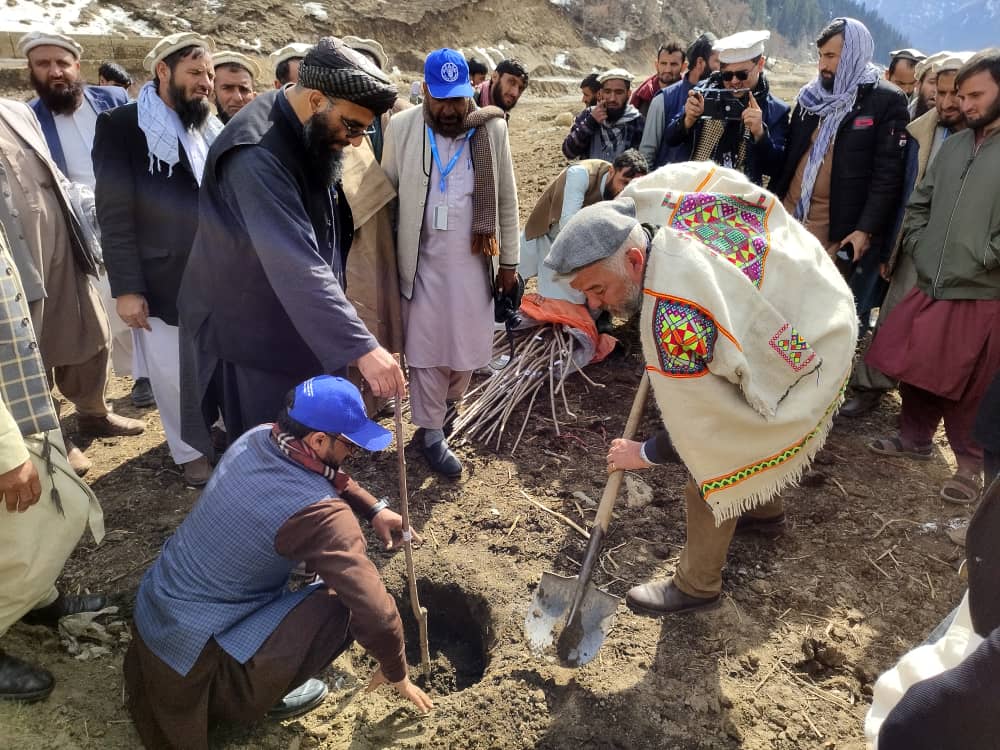 د نورستان دکرنې ریاست: د (FAO-GEF7)  پروژې له خوا د نیالګیو اېښودو لړۍ پیل شوی