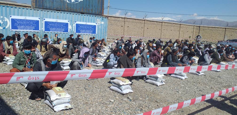 برای ۲۵۰ دهقان در ولایت بدخشان تخم بذری حبوبات و کود کیمیاوی توزیع شد