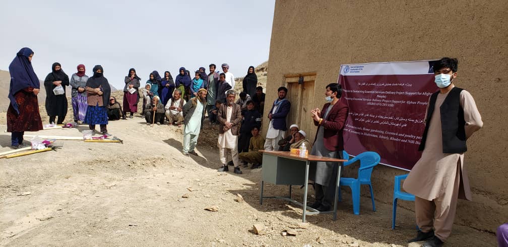 به  ۵۰۰ خانم زراعت‌پیشه در ولسوالی اشترلی دایکندی وسایل زراعتی توزیع شد