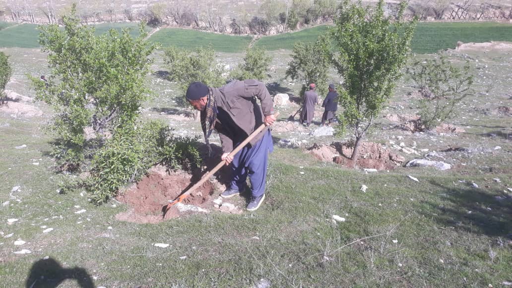 نظارت از جریان کار عملی دامنه‌های کوه دِه بلبل در ولایت کاپیسا