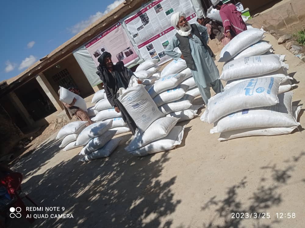 از جریان توزیع علوفه حیوانی برای مالداران ولایت دایکندی نظارت صورت گرفت