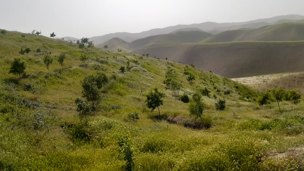 سفر مشاور امور زراعتی وزارت زراعت به ولایت تخار 