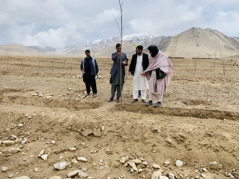 د لوګر دکرنې ریاست: خروار ولسوالی کې د عامه بڼ جوړولو چارې روانې دي