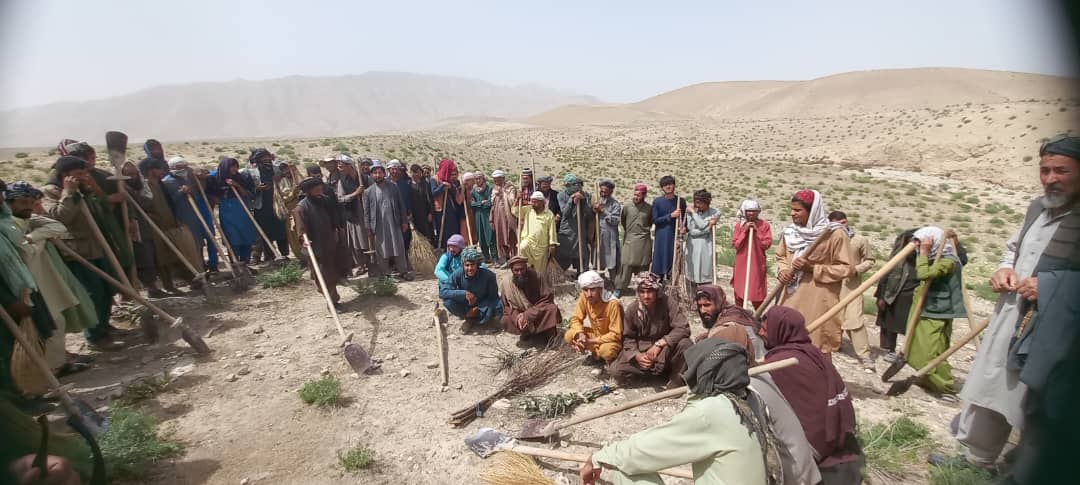 کمپاین مجادله علیه ملخ‌های مضره  در ولایت کندز آغاز شد