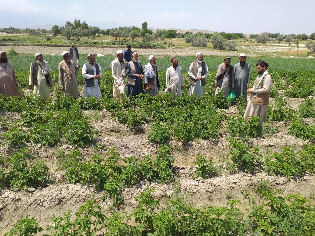 د ننګرهار کوټ کې یوشمېر بڼوال وروزل شول