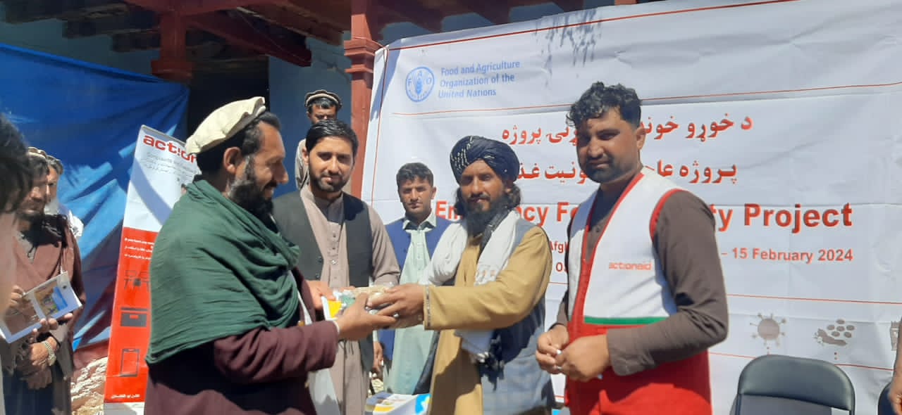 د لغمان دولت شاه کې پر ۱۰۲۹ بزګرانو د سبو اصلاح شوې تخمونه ووېشل شول